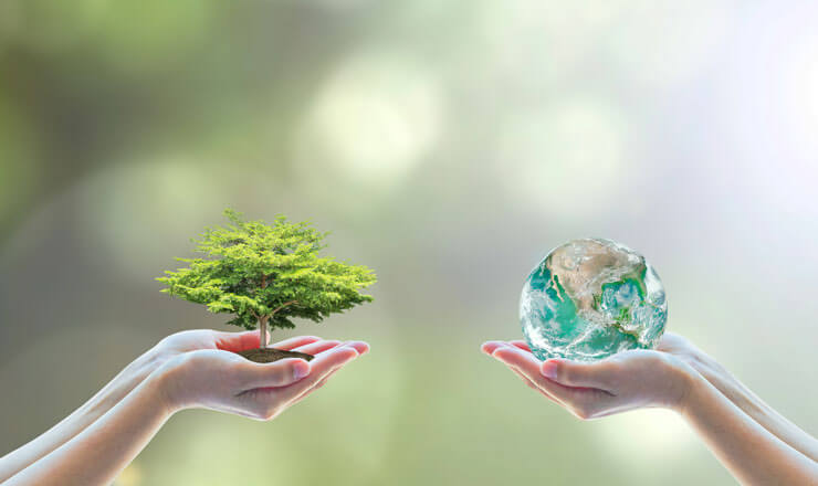 Environmental Conscience